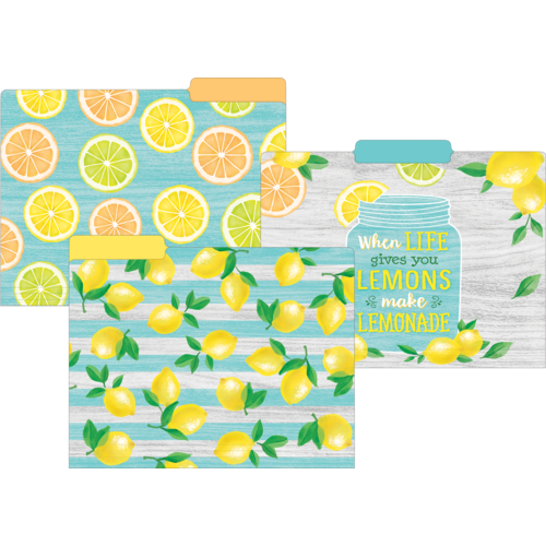 Lemon Zest File Folders TCR8542 Teacher Created Resources