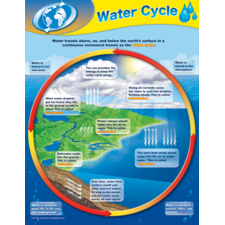 Scientific Method Chart - TCR7704 | Teacher Created Resources