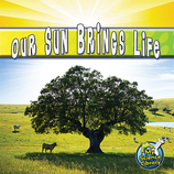 Our Sun Brings Life 6-pack