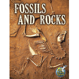 Fossils and Rocks 6-Pack