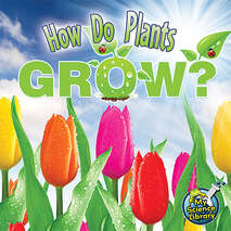 How Do Plants Grow? 6-pack