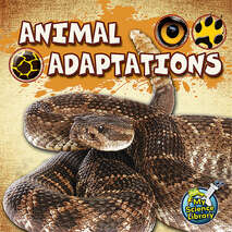 Animal Adaptations 6-pack