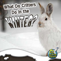 What Do Critters Do in the Winter? 6-pack