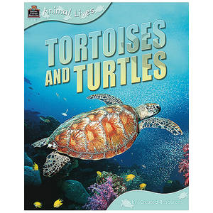 BSE5042 Tortoises and Turtles 6-pack Image