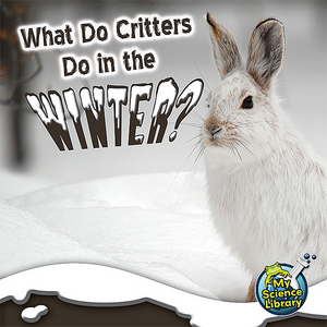 BSE51328 What Do Critters Do in the Winter? 6-pack Image