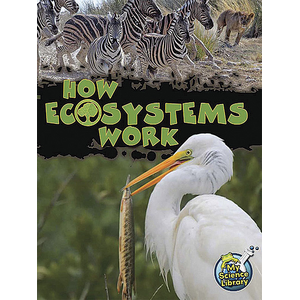 BSE51381 How Ecosystems Work 6-Pack Image
