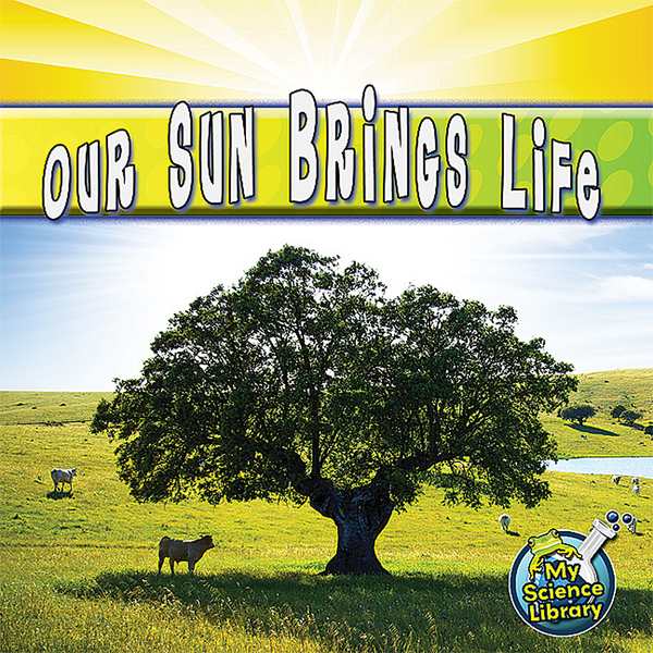 BSE51306 Our Sun Brings Life 6-pack Image