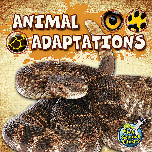 BSE51313 Animal Adaptations 6-pack Image