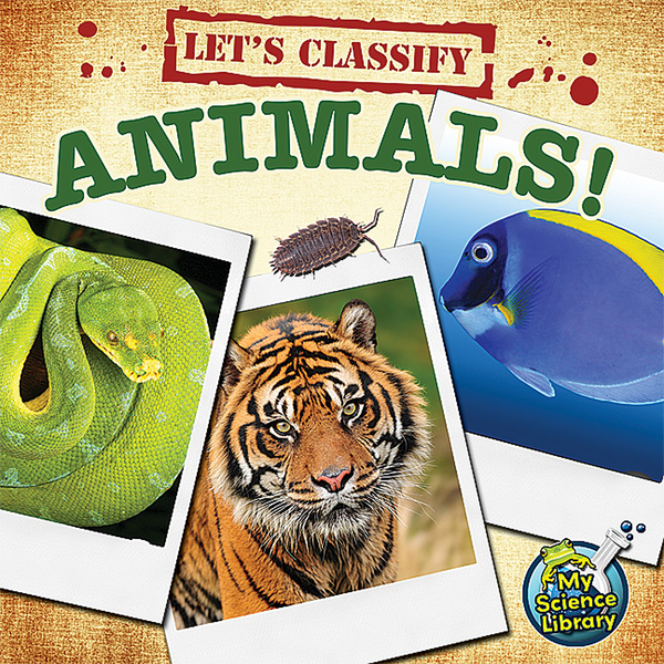 BSE51331 Let's Classify Animals 6-pack Image