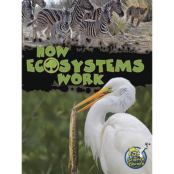 BSE51381 How Ecosystems Work 6-Pack Image