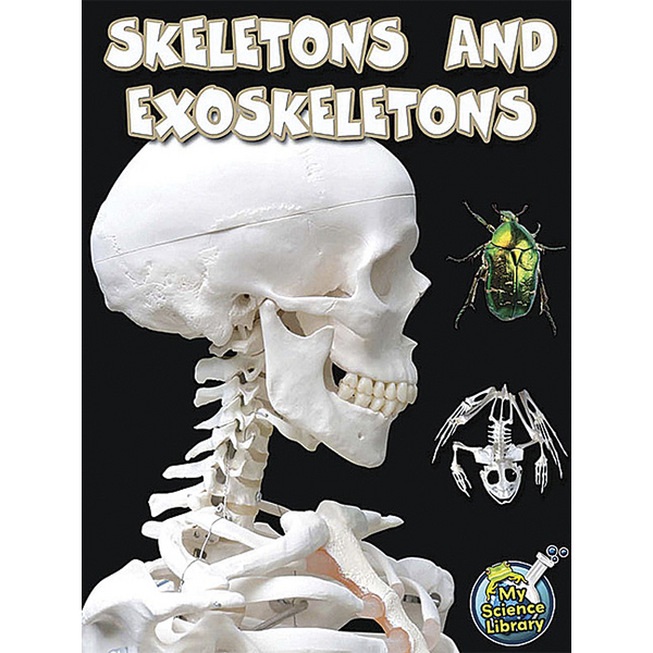 BSE51382 Skeletons and Exoskeletons 6-Pack Image