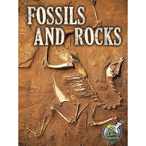 BSE51396 Fossils and Rocks 6-Pack Image