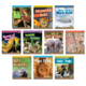 Ranger Rick's Reading Adventures Classroom Library Add-On Pack grades 1-5 Alternate Image A