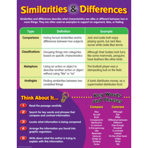 similarities and differences essay structure