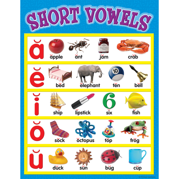 Short Vowels Chart TCR7701 Teacher Created Resources