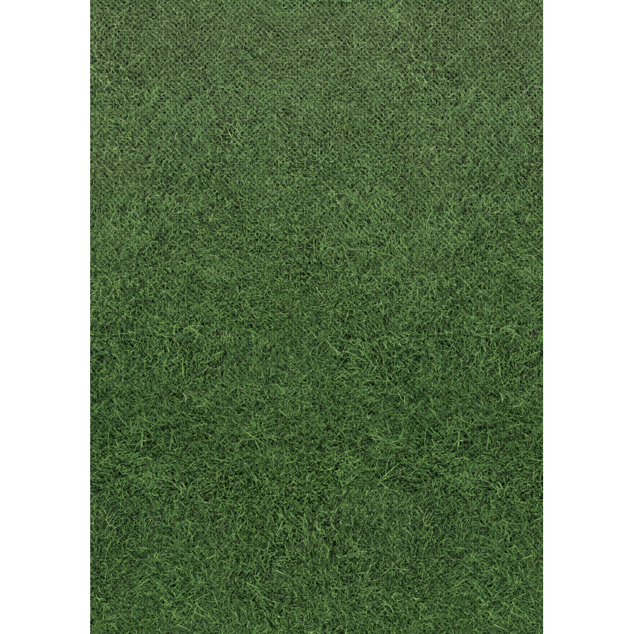 Grass Better Than Paper Bulletin Board Roll TCR77463 Teacher