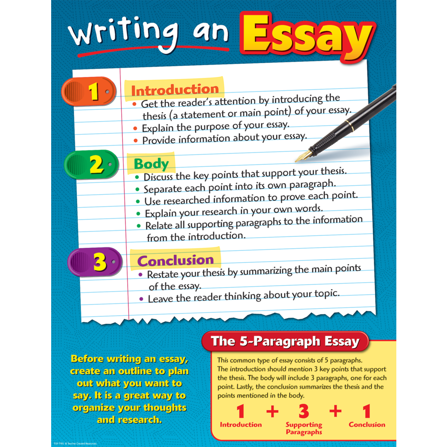 types of essay for primary school