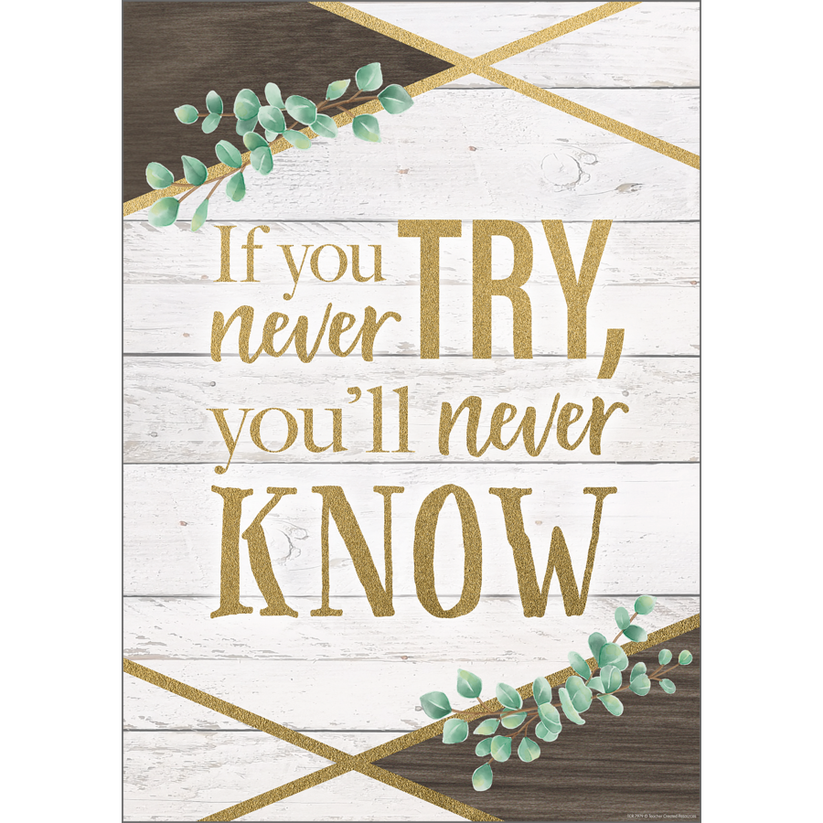 If You Never Try You Ll Never Know Positive Poster Tcr7979 Teacher