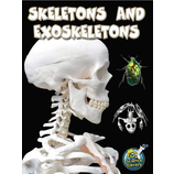 Skeletons and Exoskeletons