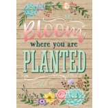 Bloom Where You Are Planted Positive Poster