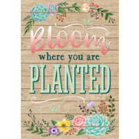 Bloom Where You Are Planted Positive Poster - Tcr7428 