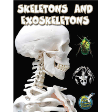Skeletons and Exoskeletons