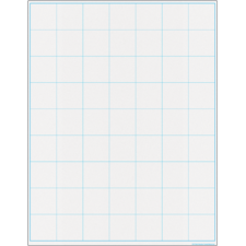 Graphing Grid Large Squares Write-On/Wipe-Off Chart