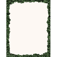 Modern Farmhouse Boxwood Computer Paper