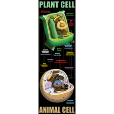 Plant & Animal Cells Colossal Poster