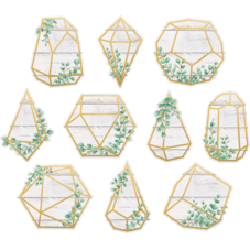 Eucalyptus Geometric Terrariums Accents