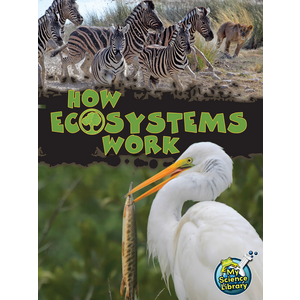 TCR102201 How Ecosystems Work Image