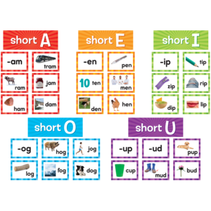 TCR20850 Short Vowels Pocket Chart Cards Image