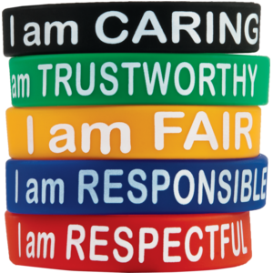 TCR6569 Character Traits Wristbands Image