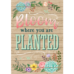 TCR7428 Bloom Where You Are Planted Positive Poster Image