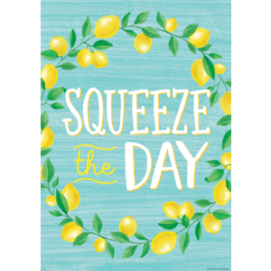 TCR7955 Squeeze the Day Positive Poster Image