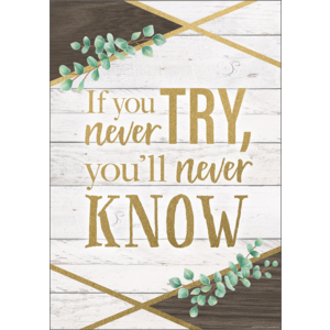TCR7979 If You Never Try, You'll Never Know Positive Poster Image