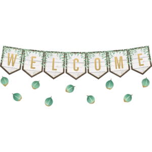 TCR8472 Eucalyptus Pennants Welcome Bulletin Board Image