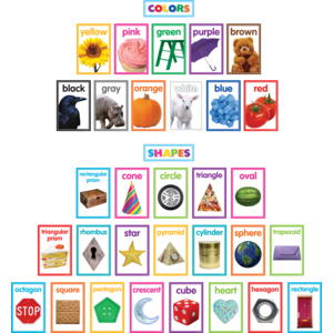 TCR8799 Colorful Photo Shapes & Colors Cards Bulletin Board Image