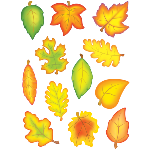 Fall Leaves Accents - TCR4419 | Teacher Created Resources