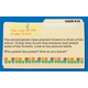 Mathological Liar Game Grade 2 - TCR63395 | Teacher Created Resources