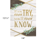 If You Never Try, You'll Never Know Positive Poster Alternate Image SIZE