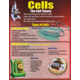 Living Organisms Poster Set Alternate Image A