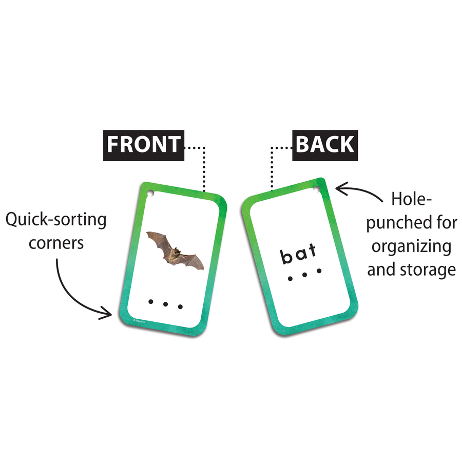 Decoding Cvc Words Flash Cards Tcr62057 Teacher Created Resources