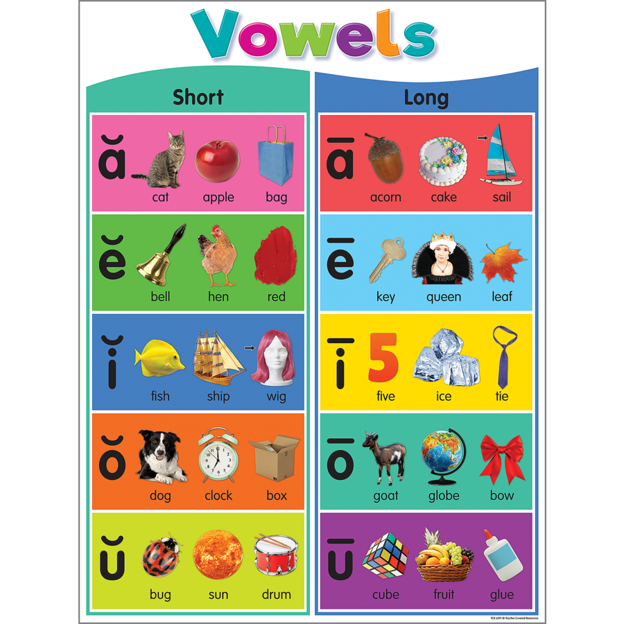 Colorful Phonics Bulletin Board - TCR6591 | Teacher Created Resources