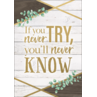 TCR7979 If You Never Try, You'll Never Know Positive Poster