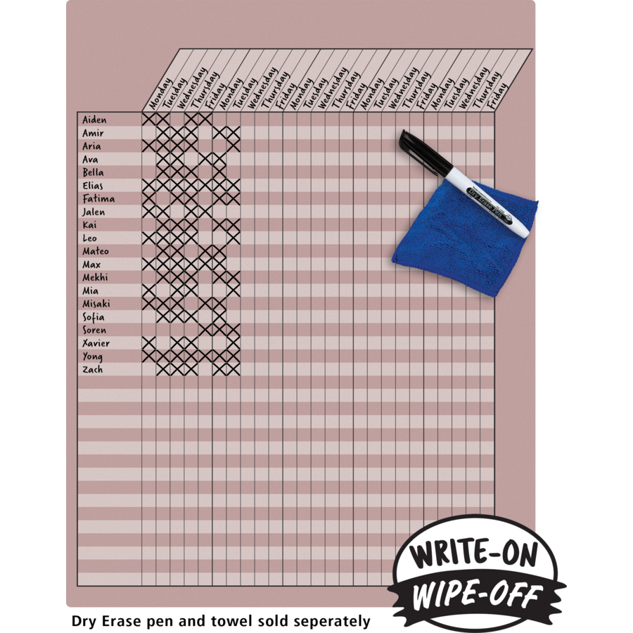 Light Mauve Incentive Write On Wipe Off Chart TCR7919 Teacher