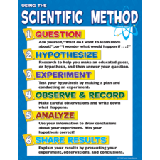 Plant Life Cycles Chart - TCR7714 | Teacher Created Resources