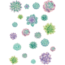 Rustic Bloom Succulent Accents - Assorted Sizes