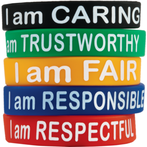 TCR6569 Character Traits Wristbands Image
