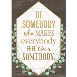 TCR7978 Be Somebody Who Makes Everybody Feel like a Somebody Positive Poster Image